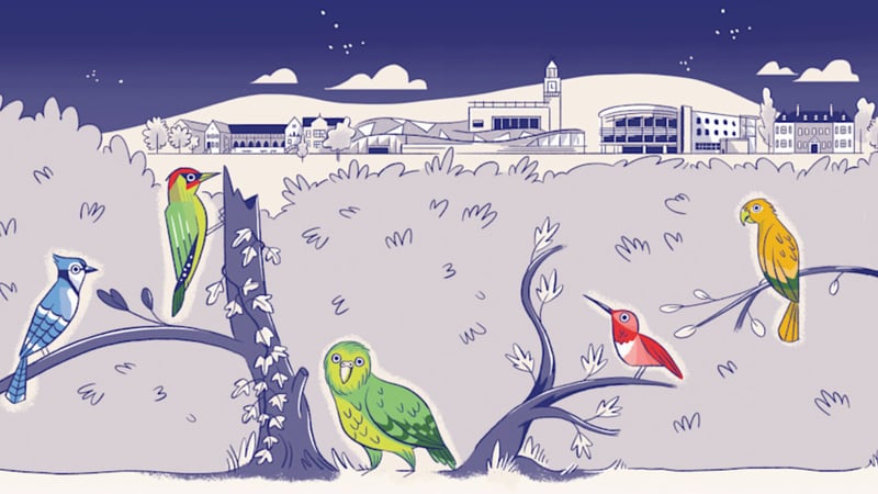 Exeter creativity_featured image