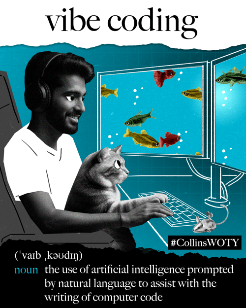 Vibe coding_image_2025