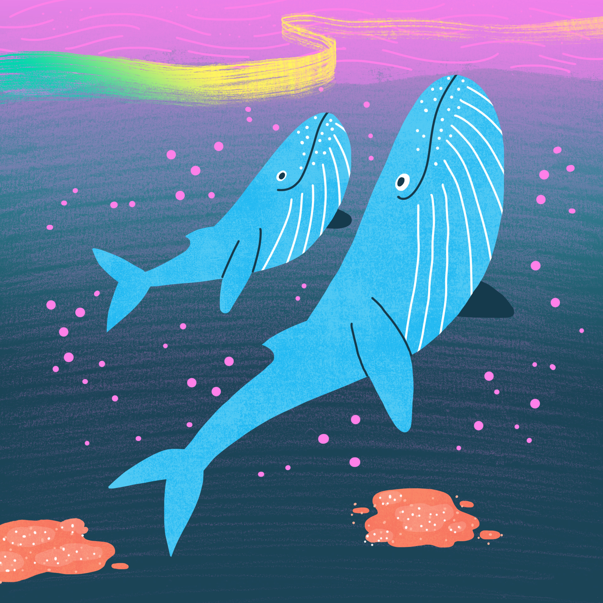 S11 - whales v1